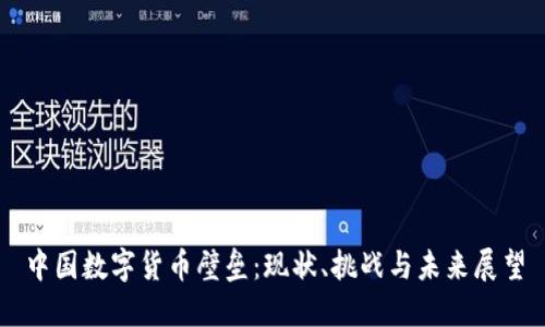 中国数字货币壁垒：现状、挑战与未来展望