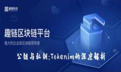公链与私钥：Tokenim的深度