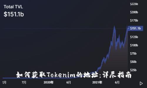 如何获取Tokenim的地址：详尽指南