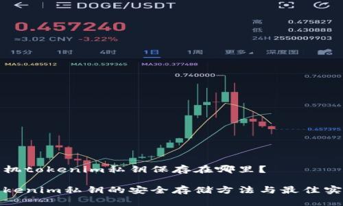 手机tokenim私钥保存在哪里？

Tokenim私钥的安全存储方法与最佳实践