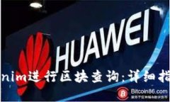 如何使用Tokenim进行区块查询：详细指南与实用技