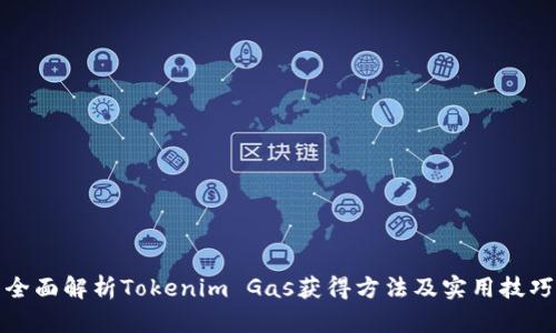 全面解析Tokenim Gas获得方法及实用技巧