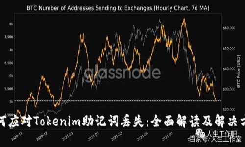 如何应对Tokenim助记词丢失：全面解读及解决方案