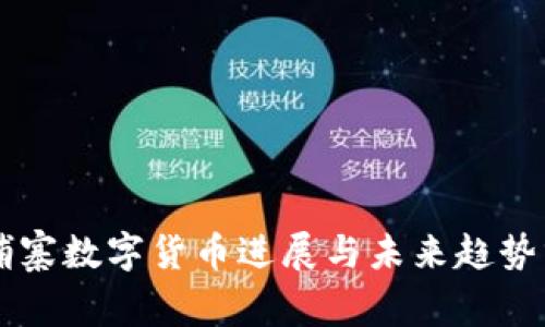 柬埔寨数字货币进展与未来趋势分析