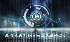 是什么是Tokenim及其影响力？