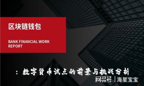 : 数字货币试点的前景与挑战分析