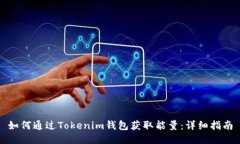 如何通过Tokenim钱包获取能量：详细指南