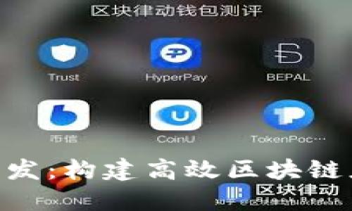 Tokenim软件开发：构建高效区块链应用的解决方案