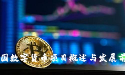 中国数字货币项目概述与发展前景