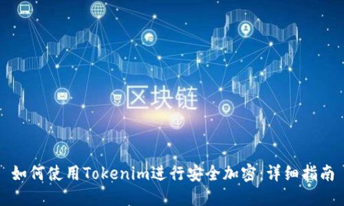 如何使用Tokenim进行安全加密：详细指南