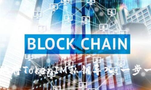 如何安全地将TokenIM私钥导入：一步一步的指南