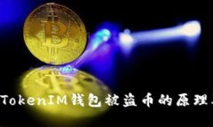 揭秘TokenTokenIM钱包被盗币的原理及防范措施