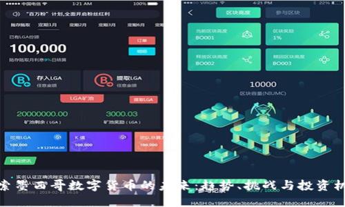 探索墨西哥数字货币的未来：趋势、挑战与投资机会