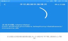 探索墨西哥数字货币的未来：趋势、挑战与投资