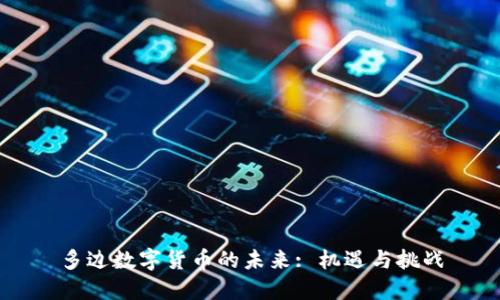 多边数字货币的未来: 机遇与挑战