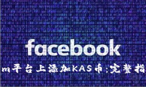 如何在Tokenim平台上添加KAS币：完整指南与实践经验