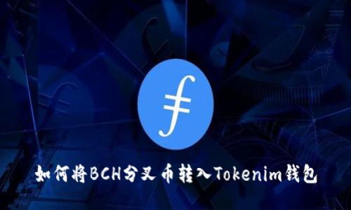 如何将BCH分叉币转入Tokenim钱包