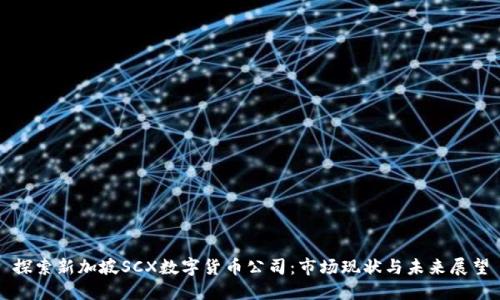 探索新加坡SCX数字货币公司：市场现状与未来展望