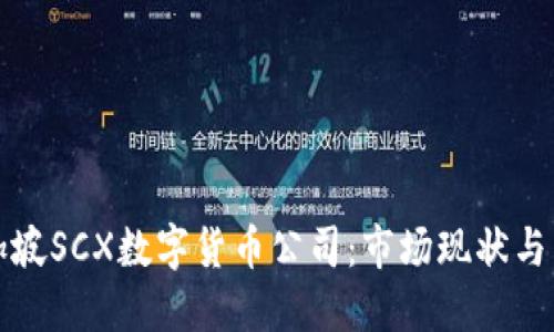 探索新加坡SCX数字货币公司：市场现状与未来展望