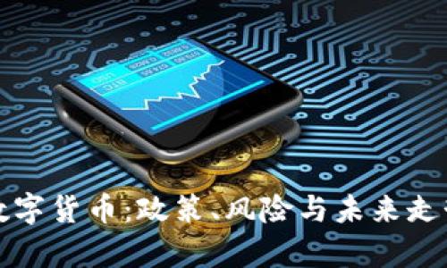 打击数字货币：政策、风险与未来走势分析