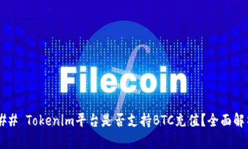 ### Tokenim平台是否支持BTC充值？全面解析！