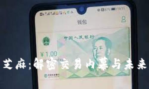 数字货币芝麻：解密交易内幕与未来发展趋势