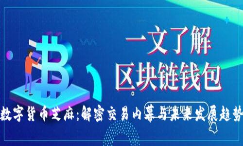 数字货币芝麻：解密交易内幕与未来发展趋势