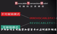 伊朗如何采用数字加密货
