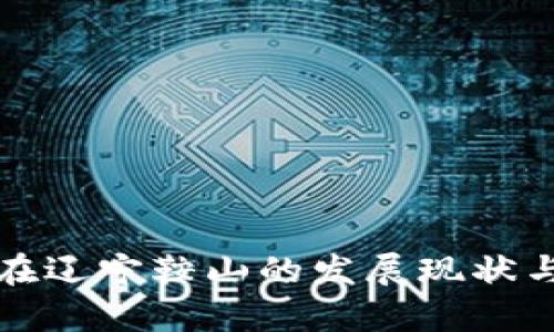 数字货币在辽宁鞍山的发展现状与前景分析