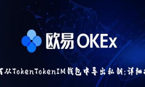 如何从TokenTokenIM钱包中导出私钥：详细指南