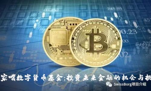 陆家嘴数字货币基金：投资未来金融的机会与挑战
