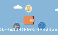 `X代表什么数字货币？全面