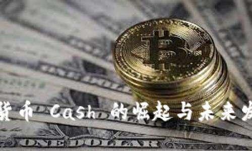 : 数字货币 Cash 的崛起与未来发展展望