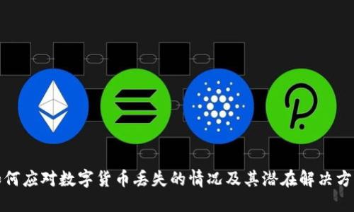 如何应对数字货币丢失的情况及其潜在解决方案