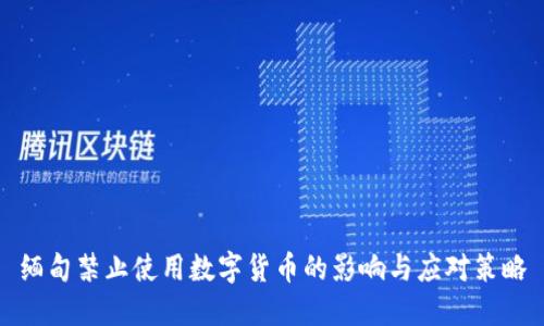 缅甸禁止使用数字货币的影响与应对策略