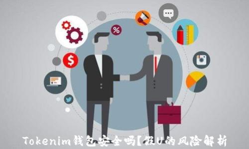 
Tokenim钱包安全吗？假U的风险解析