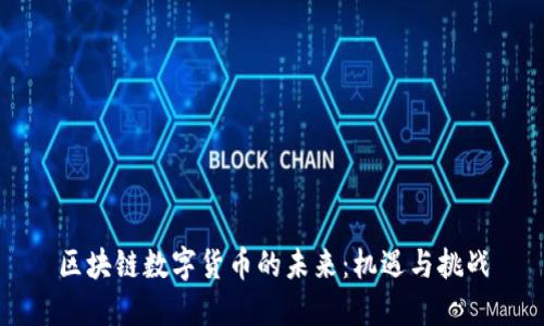 区块链数字货币的未来：机遇与挑战