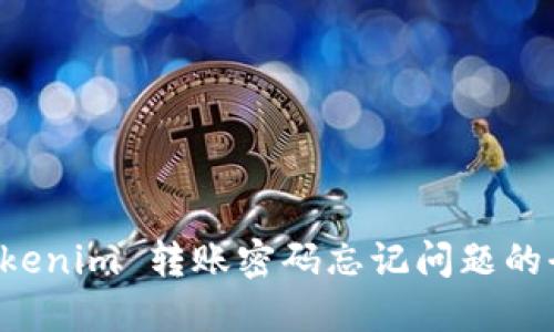 解决 Tokenim 转账密码忘记问题的全面指南