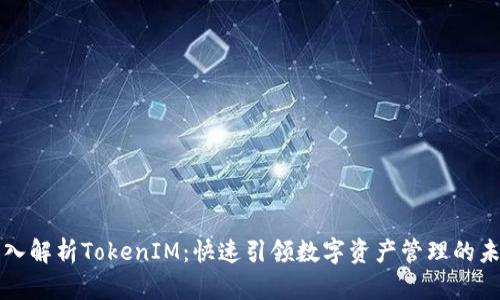 深入解析TokenIM：快速引领数字资产管理的未来
