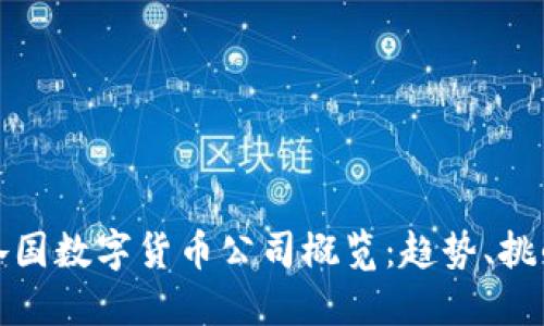 : 全球各国数字货币公司概览：趋势、挑战与未来
