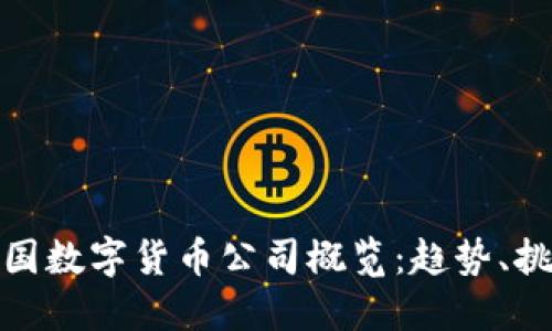 : 全球各国数字货币公司概览：趋势、挑战与未来