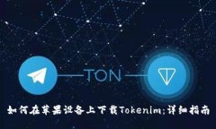 如何在苹果设备上下载T