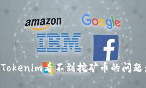 如何解决Tokenim看不到挖矿币的问题：全面指南