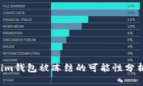 Tokentokenim钱包被冻结的可能性分析与应对策略