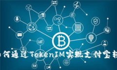 : 如何通过TokenIM实现支付