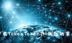 如何安全下载TokenTokenIM钱