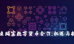 美国和柬埔寨数字货币合