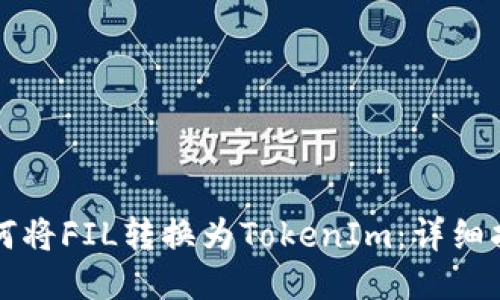 如何将FIL转换为TokenIm：详细指南