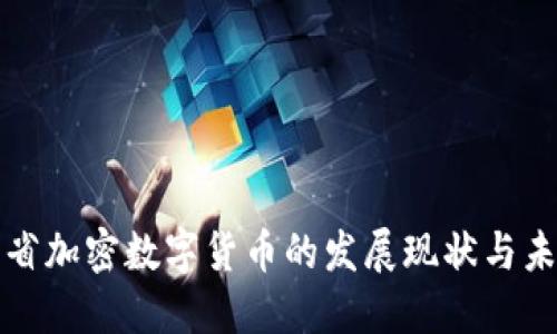 : 海南省加密数字货币的发展现状与未来展望