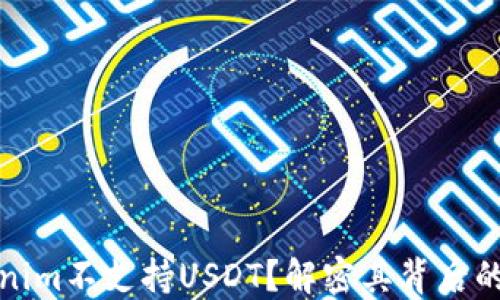 
为什么Tokenim不支持USDT？解密其背后的原因和影响